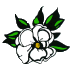 mag.gif (2726 bytes)