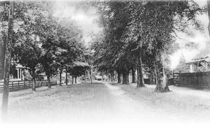 EvergreenSt.1800s-w.jpg (18854 bytes)