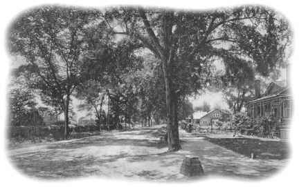 WashingtonAv1800s-w.jpg (18495 bytes)